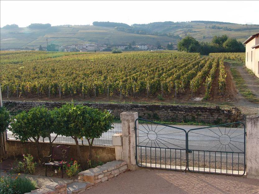 La Vigneraie Bed & Breakfast Fuisse Luaran gambar